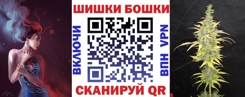 APVP Андреаполь