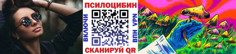 Галлюциногенные грибы Psilocybine cubensis  Купить  Андреаполь 